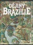 Dějiny Brazílie - náhled