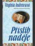 Příslib naděje - náhled