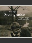 Sezóny srdce - náhled