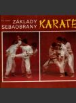 Základy sebaobrany karate - náhled