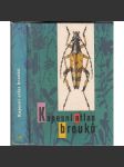 Kapesní atlas brouků (brouci, hmyz) s určovacím klíčem vyobrazených druhů - náhled