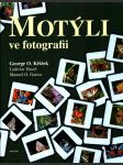 Motýli ve fotografii - náhled