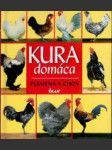 Kura domáca - náhled