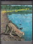 African Wildlife in 250 Photographs with 24 colourplates - náhled