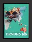 Zikmund 100: Po stopách Zikmunda a Hanzelky - náhled