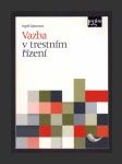 Vazba v trestním řízení - náhled