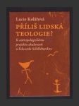 Příliš lidská teologie?: K antropologickému projektu zkušenosti u Edwarda Schillebeeckxe - náhled