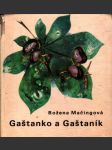 Gaštanko a gaštaník - náhled