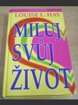 Miluj svůj život - náhled