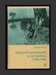 Romové na Moravě a ve Slezsku (1740-1945) - náhled