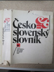 Česko - slovenský slovník - náhled