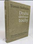 Druhá derivace touhy: Na prahu digitální teologie - Úvahy nad (ne)končícími otázkami - náhled