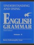 Understanding and Using English Grammar - náhled