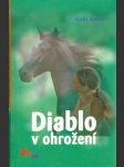 Diablo v ohrožení - náhled