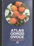 Atlas odrůd ovoce - náhled