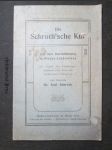 Die Schrothsche Kur - náhled