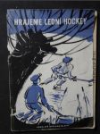 Hrajeme lední hockey - náhled