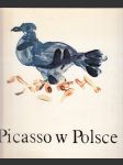 Picasso w Polsce - náhled