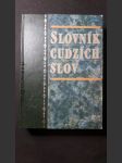 Veľký slovník cudzích slov - náhled