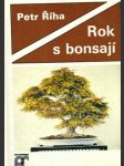 Rok s bonsají - náhled