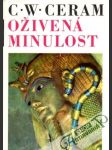 Oživená minulost - náhled