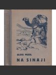 Na Sinaji - náhled