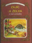 Zajíc a želva - náhled