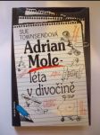 Adrian Mole. Léta v divočině - náhled