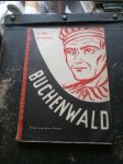 Buchenwald - náhled