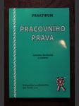 Praktikum pracovního práva - náhled