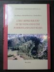 Lithic chipped industry of the young eneolithic in Moravia and Czech Selesia - náhled