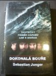 Dokonalá bouře : skutečný příběh zápasu lidí s mořem - náhled