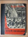 Děti v bouři revoluce ; Literární obraz práce a bojů amerických Čechoslováků za svobodnou domovinu - náhled