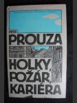 Holky, požár, kariéra : výbor krátkých próz - náhled