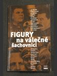 Figury na válečné šachovnici - náhled