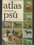 Atlas plemen psů - náhled