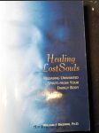 Healing lost souls - náhled