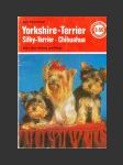 Yorkshire- Terrier - náhled