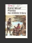 Plavba na stéble trávy - náhled