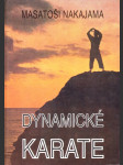 Dynamické karate - náhled