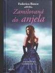 Zamilovaná do anjela - náhled