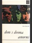 Dom s dvoma amormi - náhled