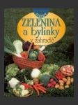 Zelenina a bylinky v zahradě - náhled