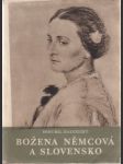 Božena Němcová a Slovensko - náhled