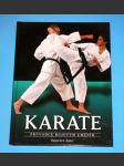 Průvodce bojovým uměním - Karate - náhled
