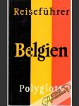 Reiseführer Belgien 13 - náhled