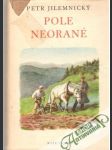 Pole neorané - náhled