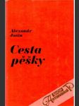 Cesta pěšky - náhled