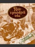 Růže z pražských trhů - náhled