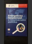 Energetická bezpečnost a mezinárodní politika - náhled